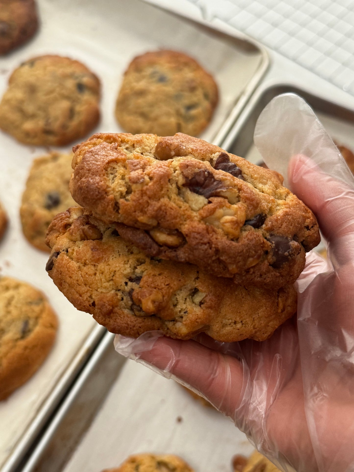 Dark Chocolate Walnut